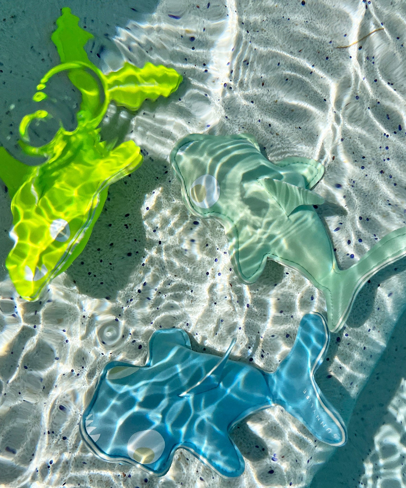 Sunnylife - Salty the Shark 海洋和游泳池潜水玩具