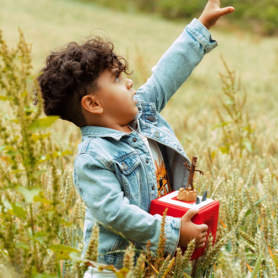 Tonies - Julia Donaldson Stick Man English Audio Figure