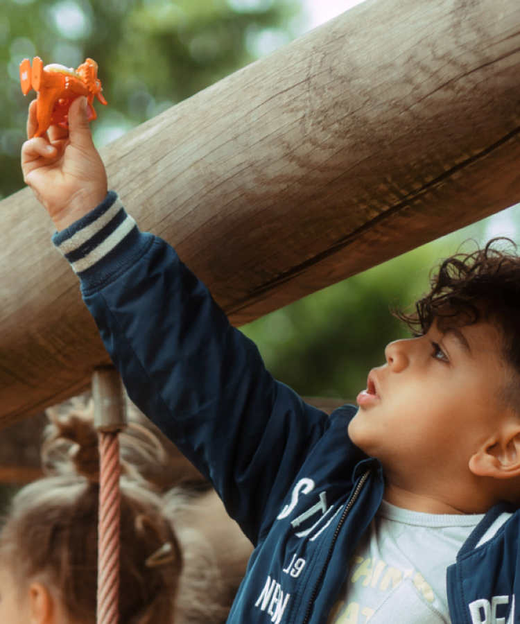 Tonies - Julia Donaldson Zog Englische Audiofigur