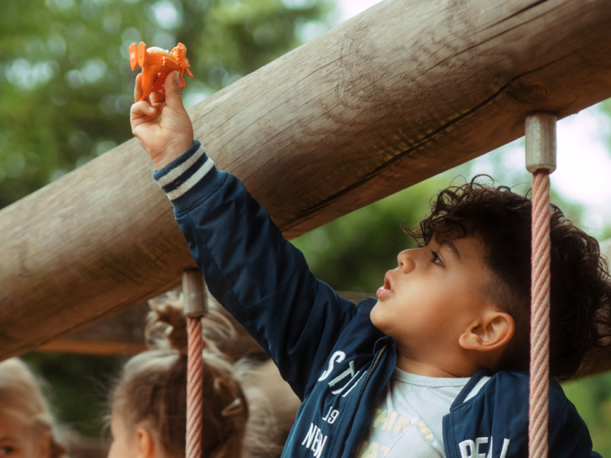 Tonies - Julia Donaldson Zog Englische Audiofigur