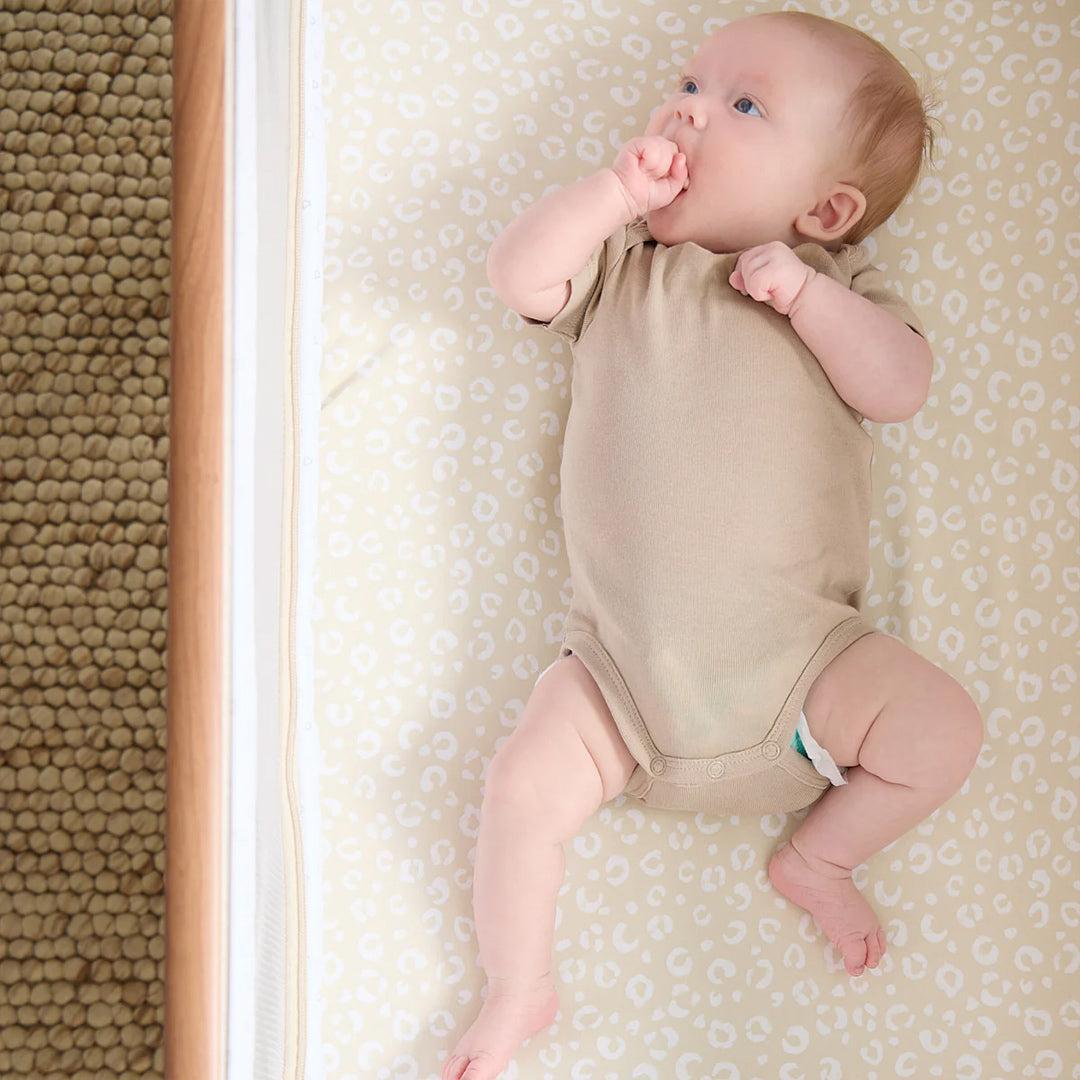 Tutti Bambini Bedside Crib Fitted Sheets - Love Cats-Sheets-Love Cats- | Natural Baby Shower