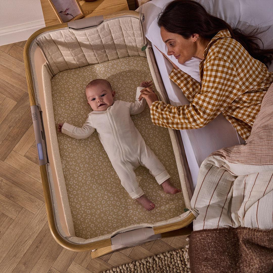 Tutti Bambini Cozee Sense Bedside Crib - Toasted Oak / Sand-Cribs-Toasted Oak / Sand- | Natural Baby Shower