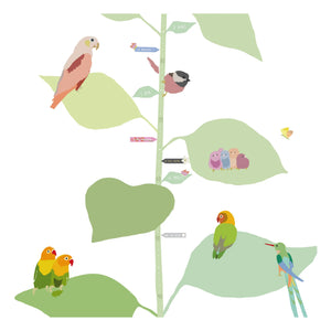 MIMI'lou - With The Birds Boy Uzama Tablosu - FR